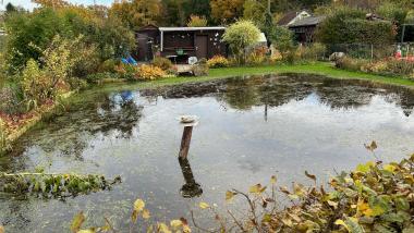Diekmoor in Hamburg-Nord