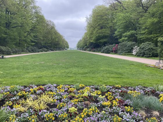 FDP Hamburg-Nord